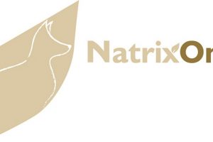 ###NatrixOne leaf LOGO 600x300